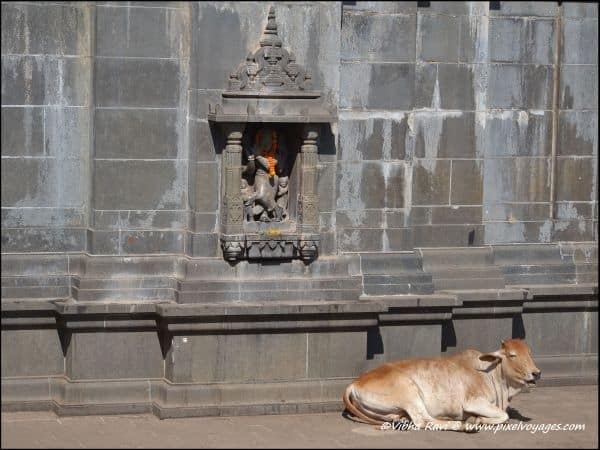 Bhimashankar – a weekend getaway from Mumbai, Pune